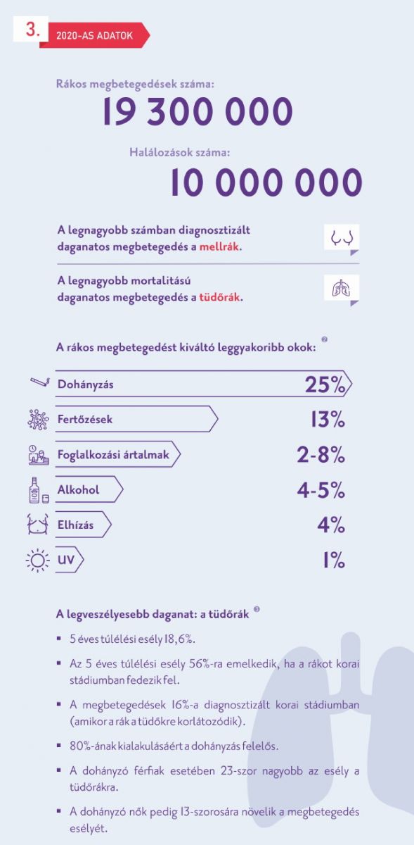 Daganatos megbetegedések infografika